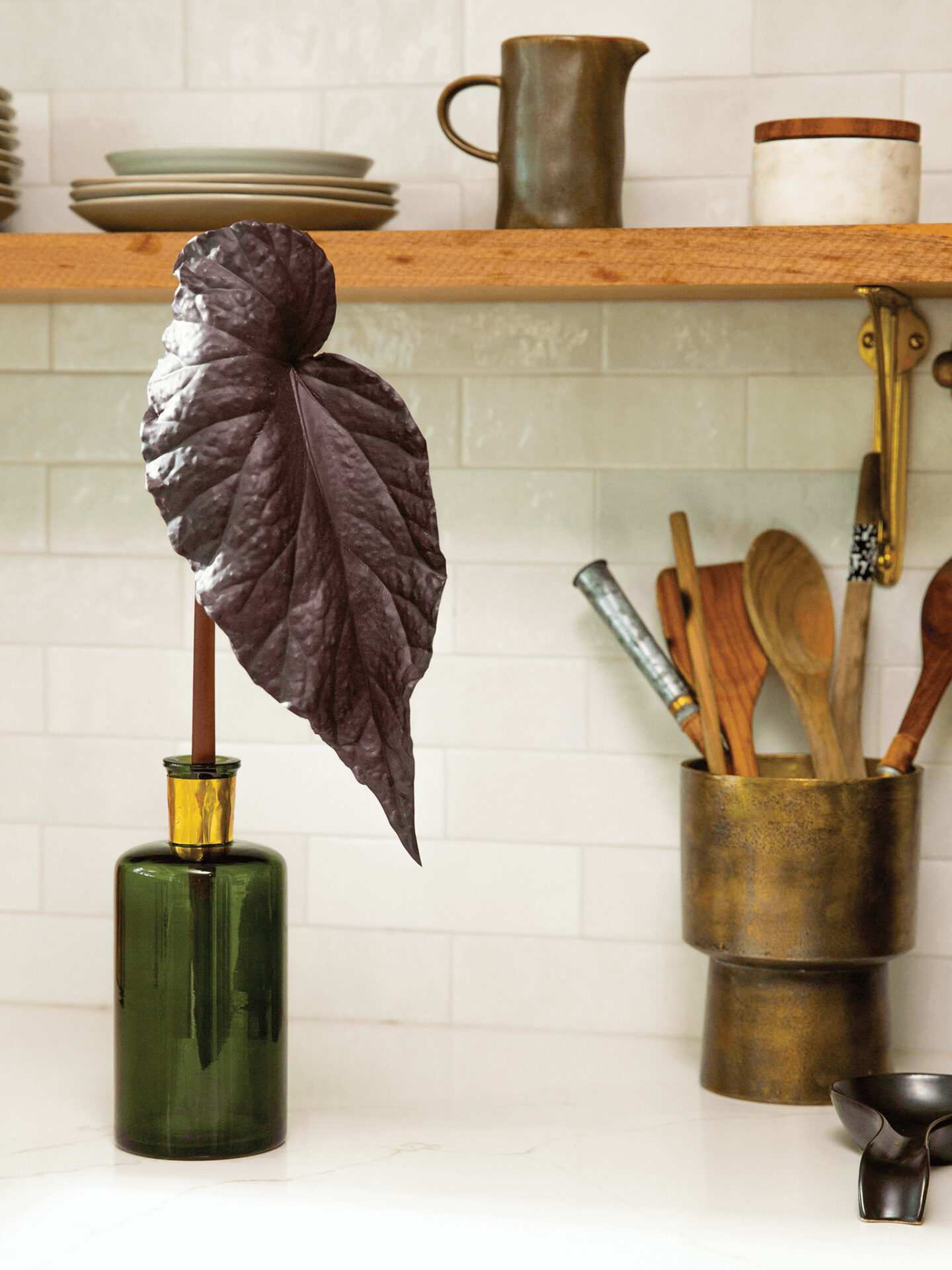 Artificial Black Begonia Leaf Stem - 6 Pack of 22"H