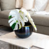 Kanpur Round Metal Black Planter