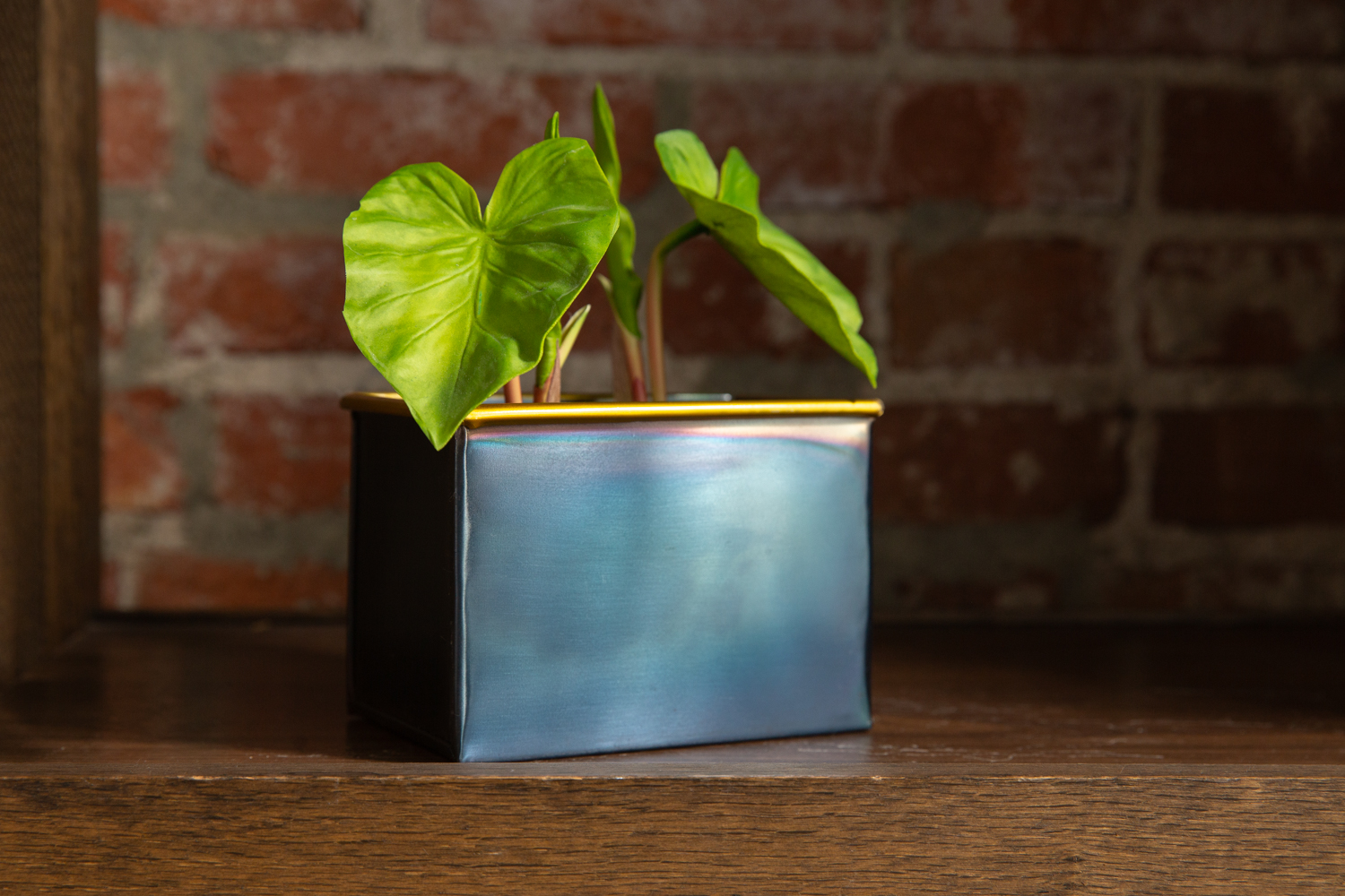 Indore Rectangular Metal Black Planters
