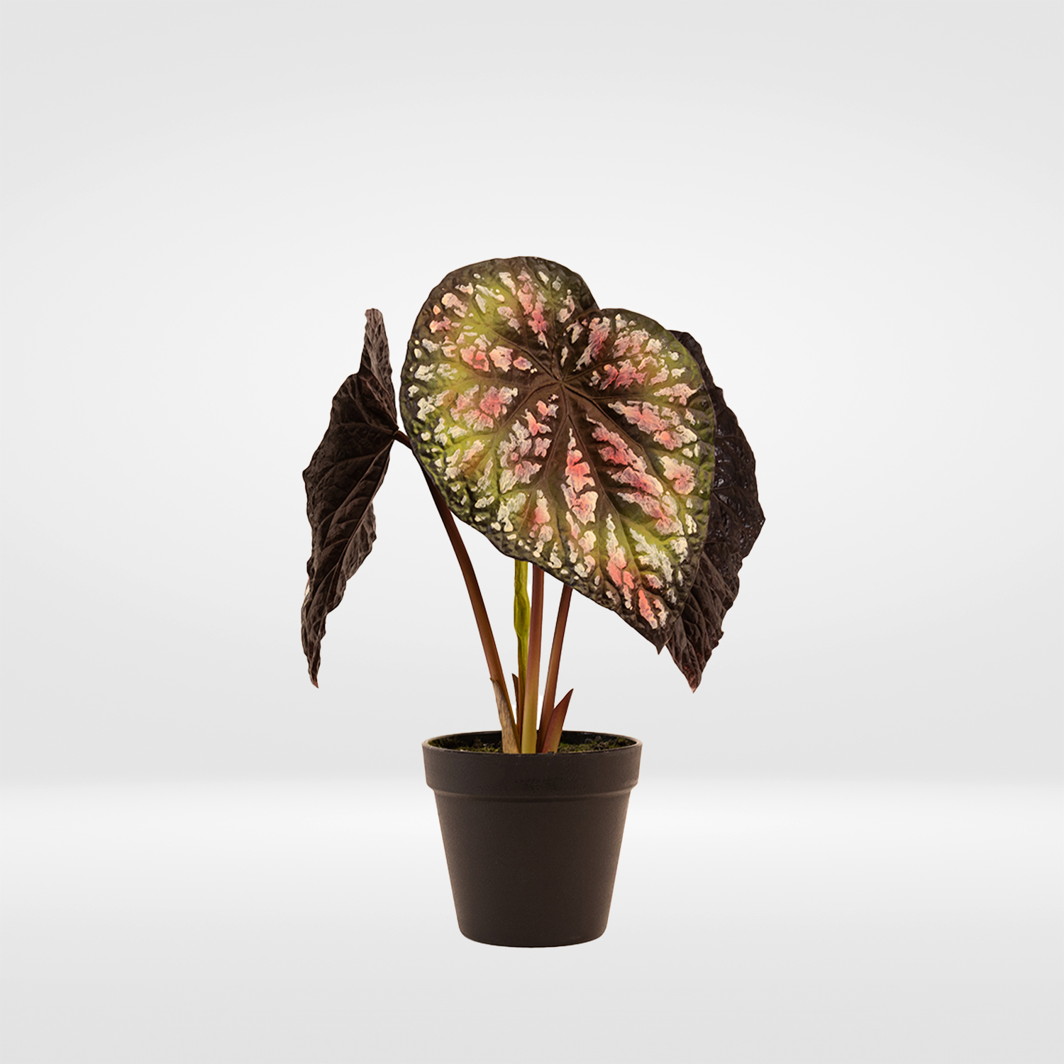 Artificial Painted Leaf Begonia Plant – 15.5″H
