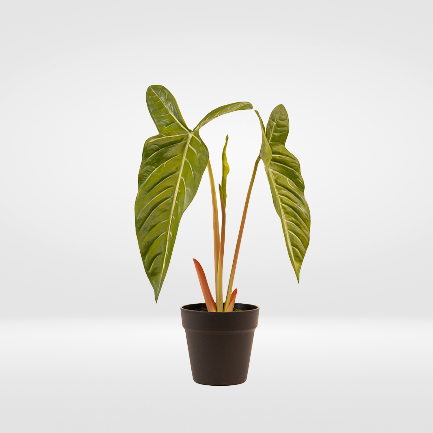 A106000038.gr A106000038.gr