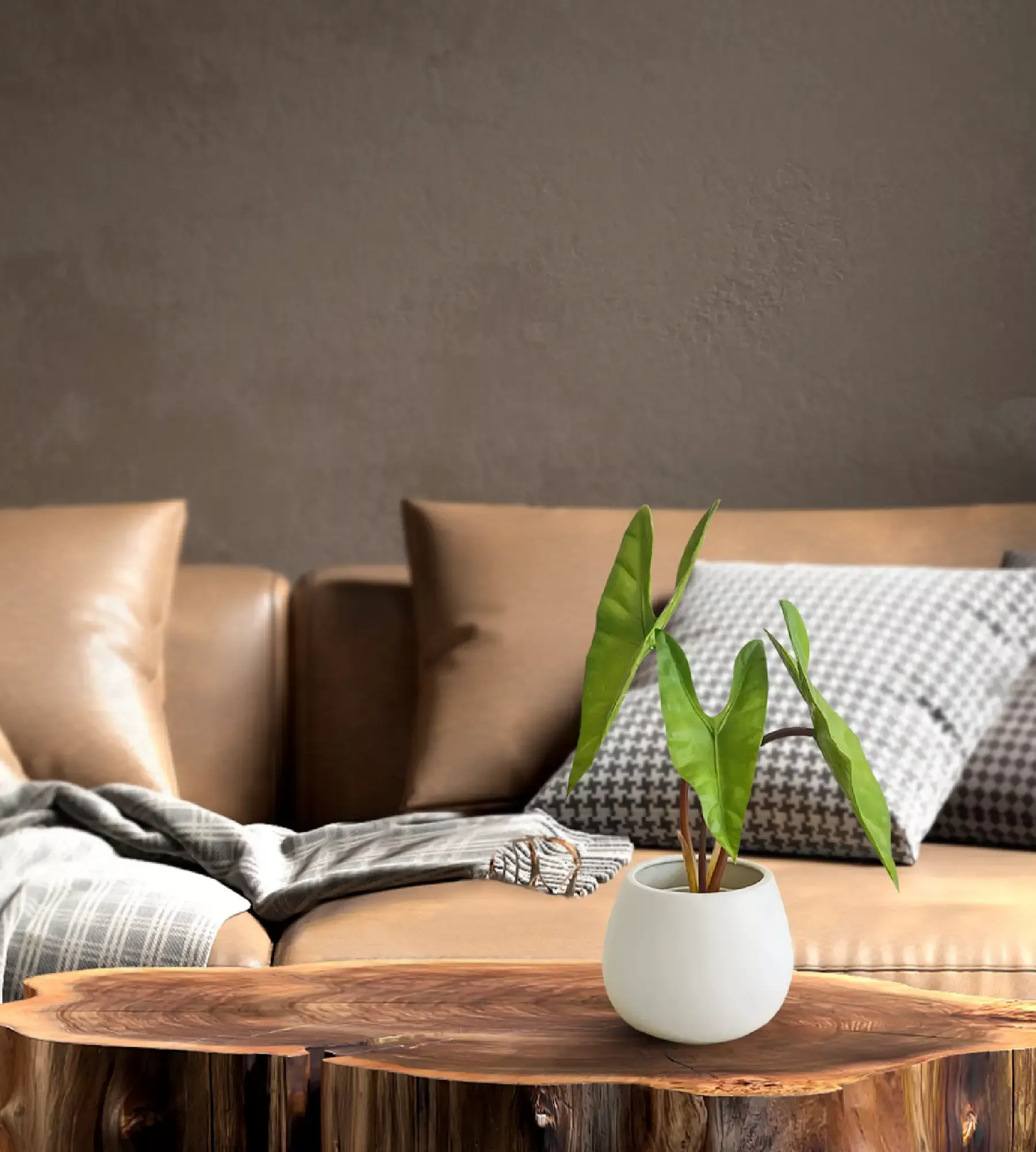 Mobile Banner 1800x2000 B