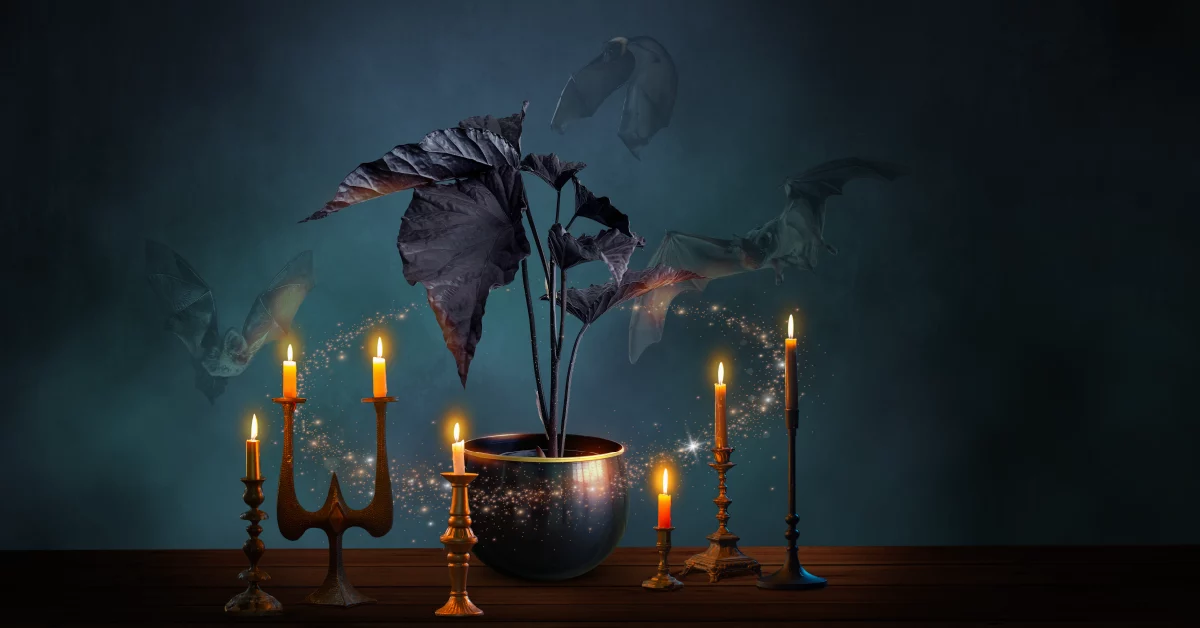 Dark Academia Blandscape 1200x628