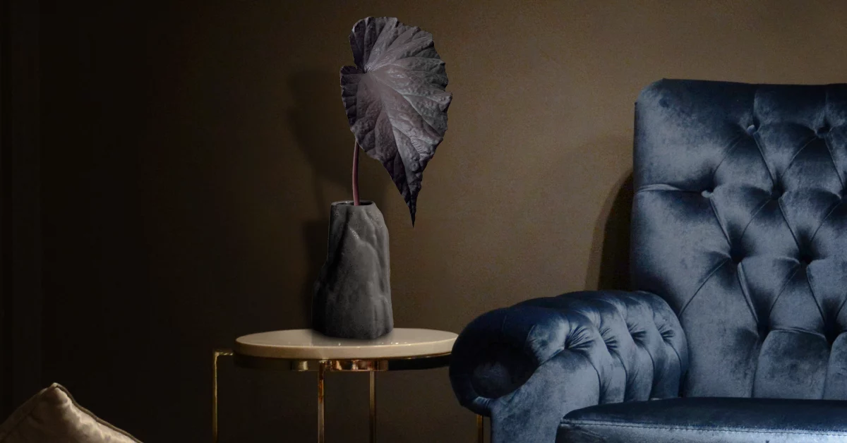 Dark Academia Dlandscape 1200x628