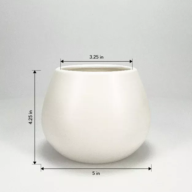 Size 5in Kate Size 5in Kate