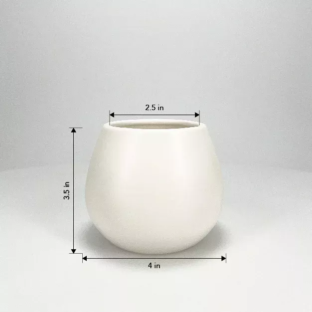 Size 4in Kate Size 4in Kate